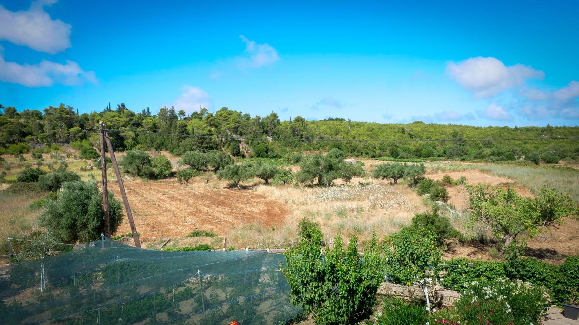 Fterini Apartments Sterna & Alletri Agios Leon Exterior photo