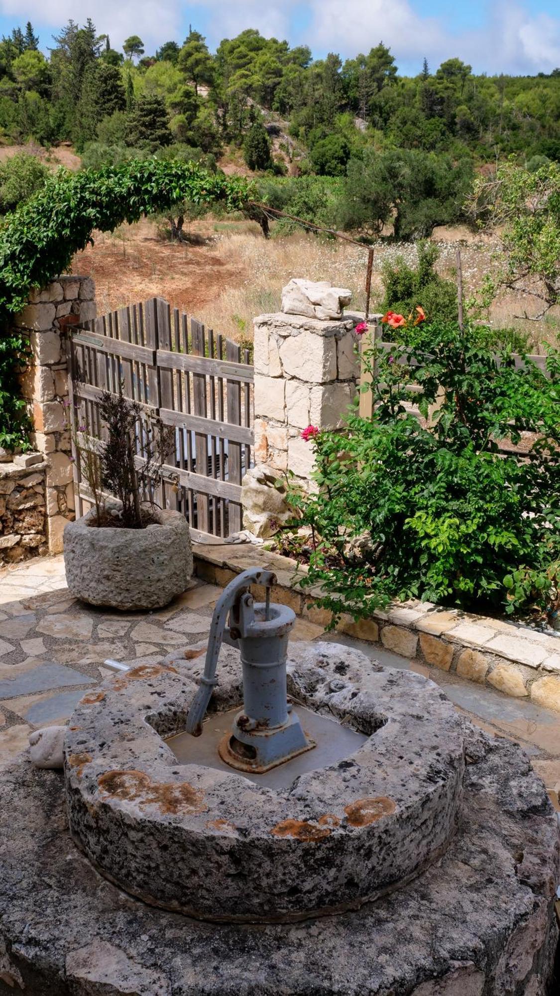 Fterini Apartments Sterna & Alletri Agios Leon Exterior photo